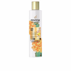 Pantene Miracle Pantene Shampoo Perfekter Frizz Schutz