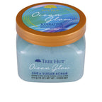 Tree Hut Tree Hut Sugar Scrubs Scrub Di Zucchero