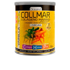 Drasanvi Collmar Integratore Alimentare Magnesio Curcuma Vaniglia Per Sintesi Proteica Efficace