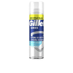 Gillette Series Schiuma Da Barba Invigorante Pelle Rinvigorita E Rinfrescata