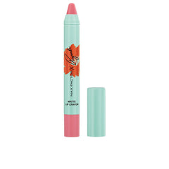 Max Factor Pryanka Lippenstift Matte Unvergleichlicher Farbkick Ohne Kompromisse