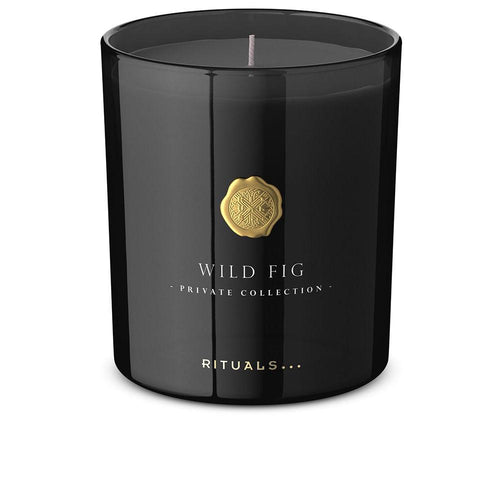 Rituals Private Collection Candela Profumata Fico Selvatico Aroma Rilassante