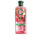 Herbal Essences Rosas Suavidad Haar Shampoo Rosenduft Seidig Glänzendes Haar