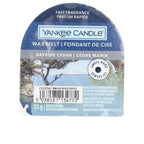 Yankee Candle Candle Original Wax Melt Candela Profumata Aroma Del Bosco Rinfrescante