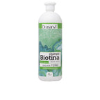 Drasanvi Biotina Y Aloe Vera Shampoo Per Capelli Oleosi Capelli Leggeri E Naturali